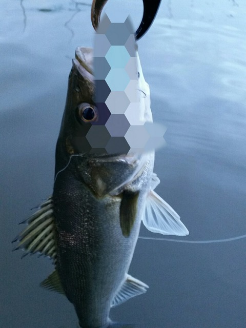 Point Blur_20190719_065851