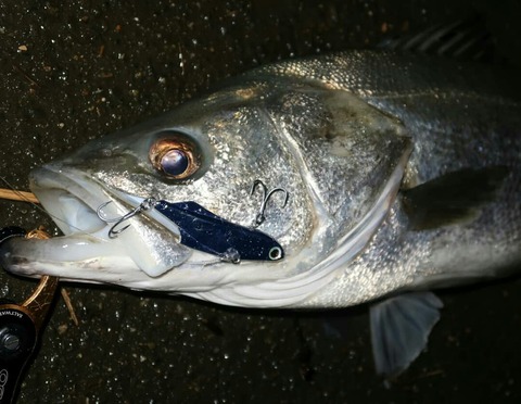 IMG_20190630_103145_360