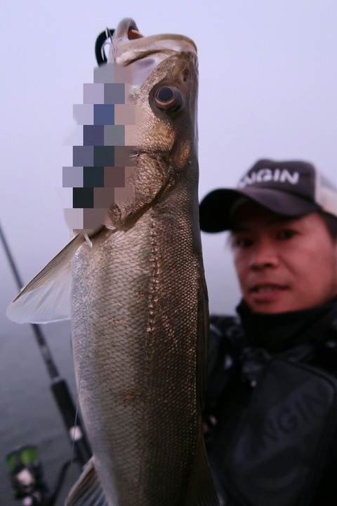 Point Blur_20190718_130845