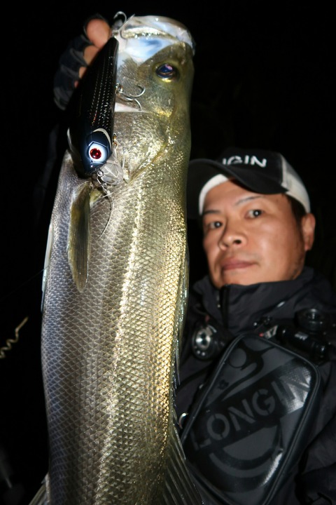 20181012201039_IMG_0175