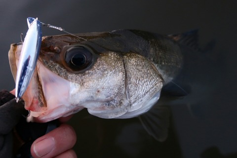 20190626040434_IMG_0809