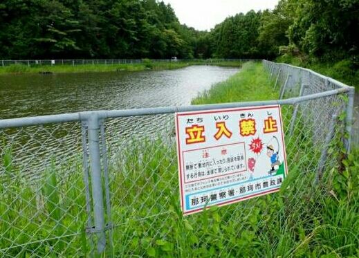 涸沼シーバス 親沢キャンプ場また釣り禁止にならぬようお願いです Complete Devotion 涸沼シーバス 親沢キャンプ場また釣り禁止にならぬようお願いです Complete Devotion
