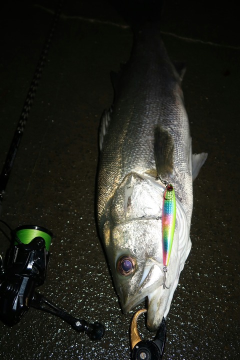 20190702211052_IMG_0832