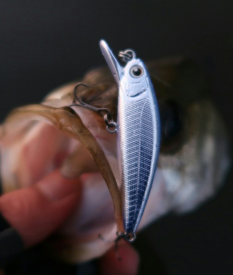 20190626040504_IMG_0811-1