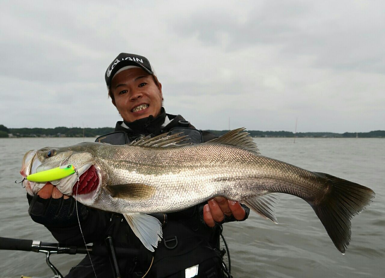 ぜいたくシーバス 昼 夜 魚のすべて ぜいたくシーバス 昼 夜 魚のすべて