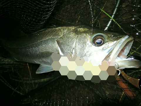 IMG_20180810_124121_290