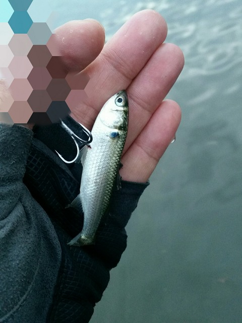 Point Blur_20190719_065736