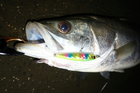 20190628002302_IMG_0819