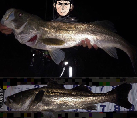 Screenshot_2019-11-10-11-29-20-1