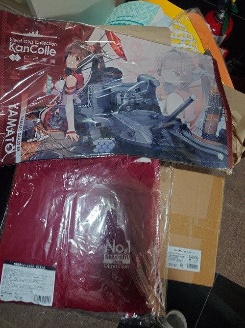 【艦これ】みんな、ホントに瑞雲好きなの？