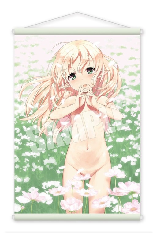 【艦これ】こーいうのって買ったあとどうすればいいの？