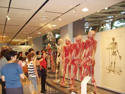 人体の不思議展 京都会場に行った 透明な言葉 人体の不思議展 京都会場に行った 透明な言葉