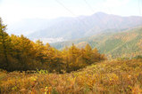 17f42869.jpg
