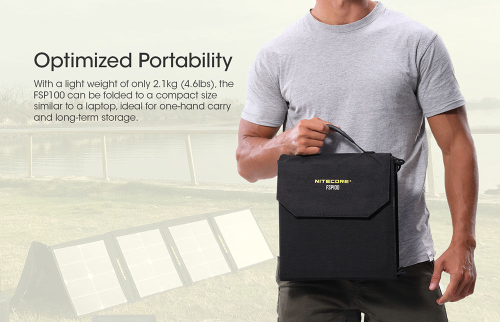 fsp100-10