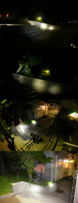 245233a6.jpg