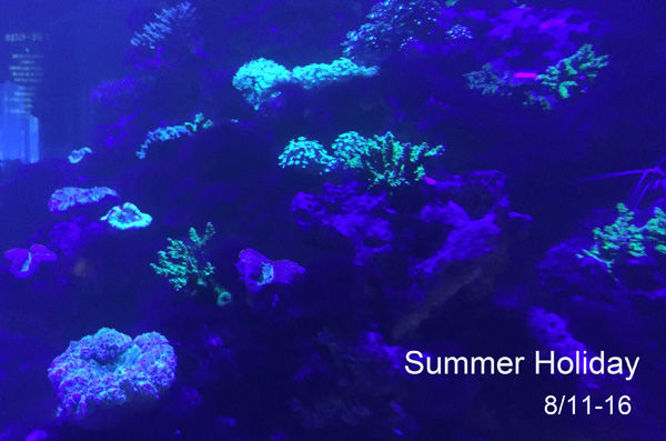 SUMMERHOLIDAY