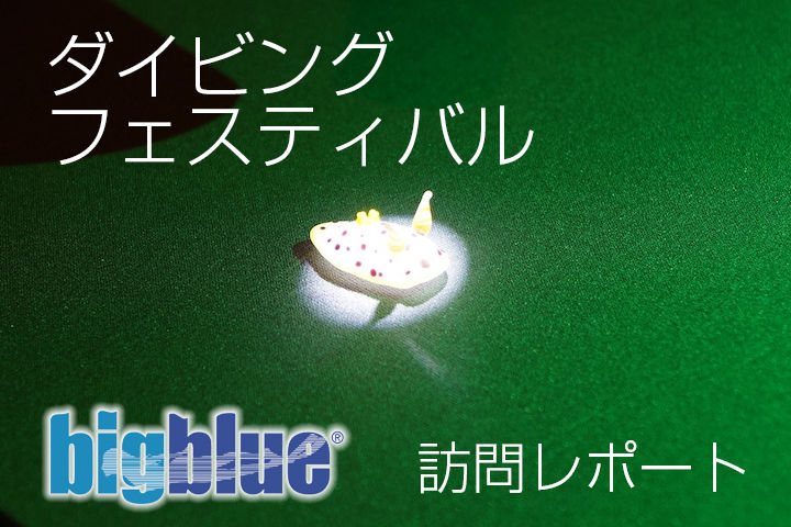 bigblue_main
