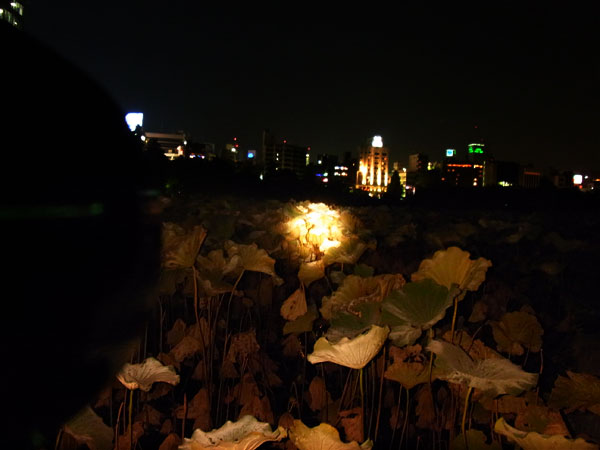 YSC_TOWER9