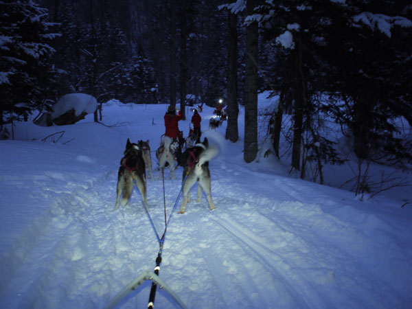 dogsled6