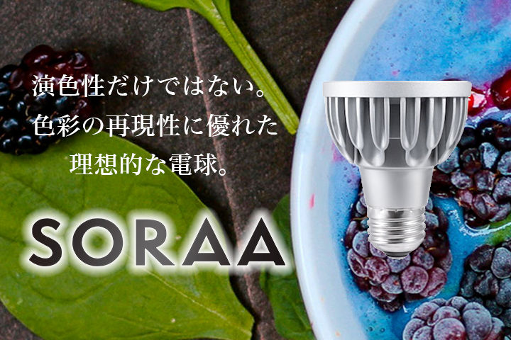 sorra_special_1b