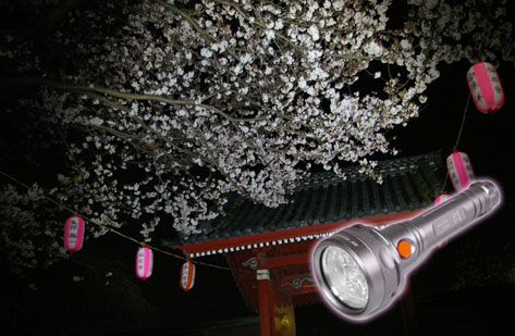 SG500