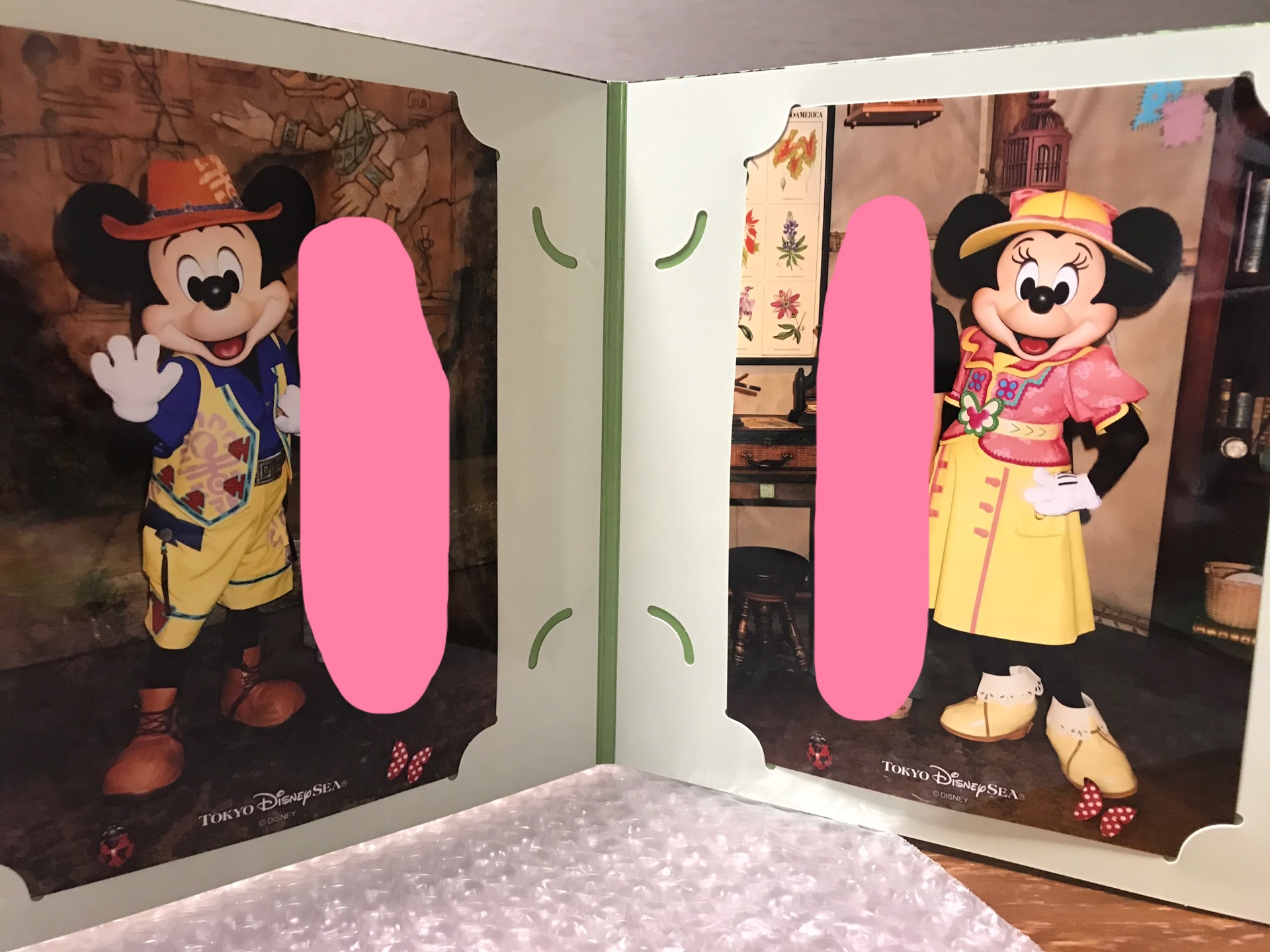 ブスを拒んだ結果の地獄絵図 あかりとうたのディズニー日記 Powered By ライブドアブログ