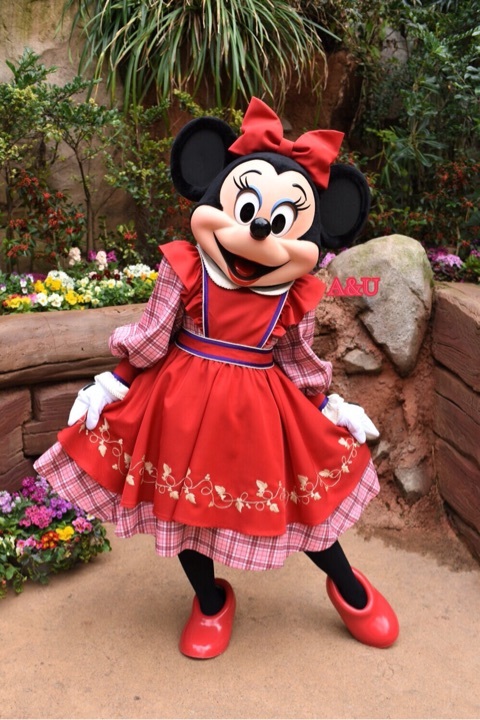 15年12月11日 あかりとうたのディズニー日記 Powered By ライブドアブログ