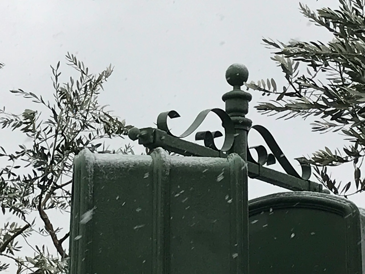 雪のディズニーランド あかりとうたのディズニー日記 Powered By ライブドアブログ 雪のディズニーランド あかりとうたのディズニー日記 Powered By ライブドアブログ