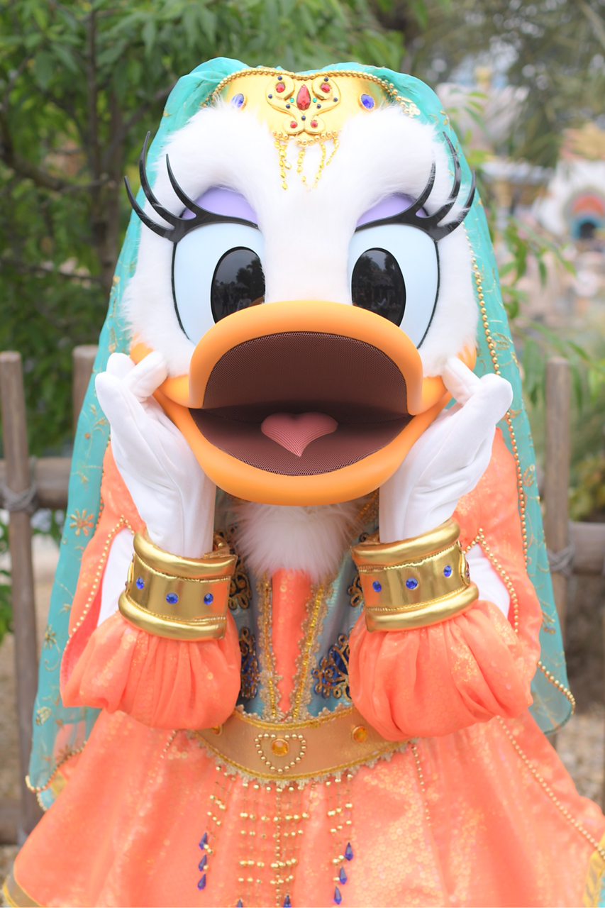 ディズニー 仮装 Dハロ 衣装 コスプレ デイジー アラビア アラビちゃん Dハロ仮装 アラビちゃん アラビアンコースト デイジー