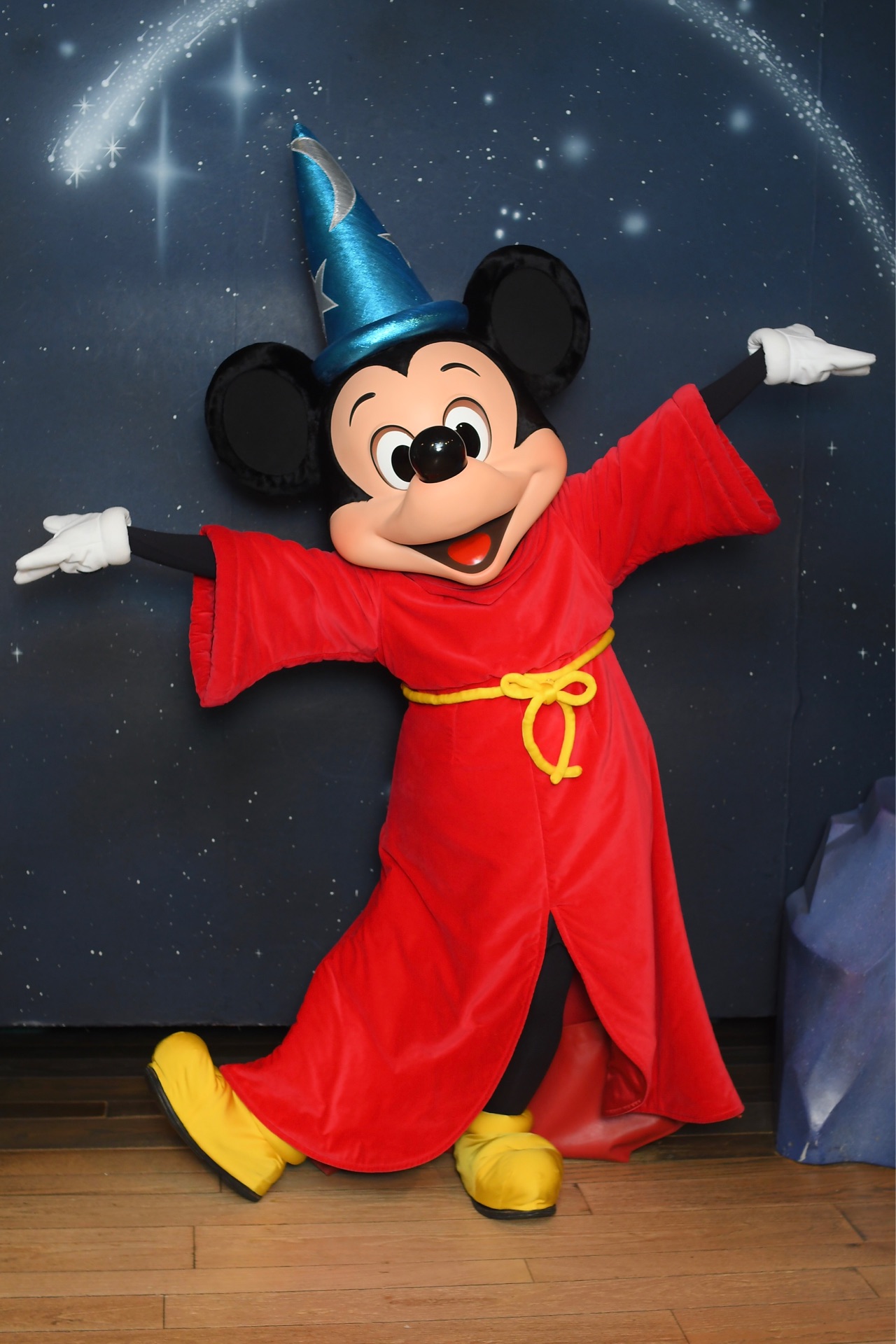 おかえりミッキー❤️ : あかりとうたのディズニー日記