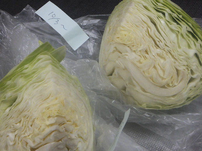 野菜長期保存実験中 Vol 1 キャベツ編 毎日が料理の勉強 野菜長期保存実験中 Vol 1 キャベツ編 毎日が料理の勉強