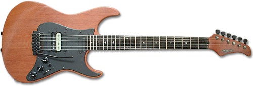 和田アキラのSaijo Guitars : Akaseの音楽三昧