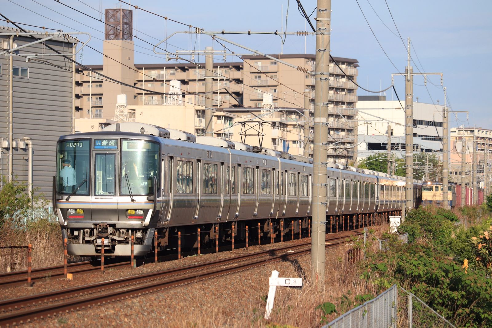  5/9-1 75レ EF65-2139 祝！1周年 : つっちーの鉄道日誌 Motiv 