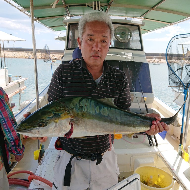 9月16日 月曜日 ハマチ飲ませ釣り 明石釣り船たかみまるの釣果blog 9月16日 月曜日 ハマチ飲ませ釣り 明石釣り船たかみまるの釣果blog