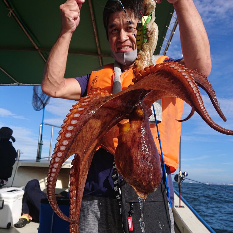 7月17日 土曜日 たこ釣り 明石釣り船たかみまるの釣果blog