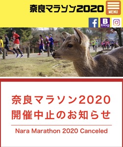 ���ɥޥ饽�����