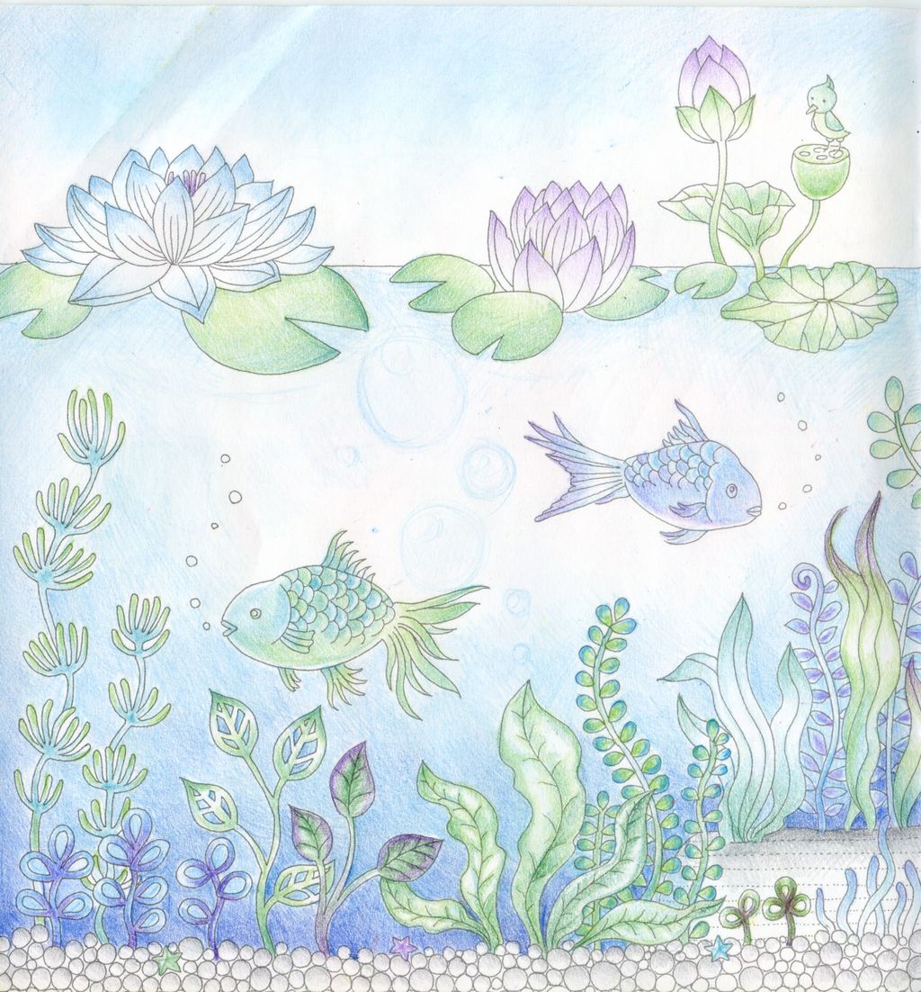 ダイソー《癒しの塗り絵 花の国》その8 盛大にやらかした : 暁のコロリアージュ日記