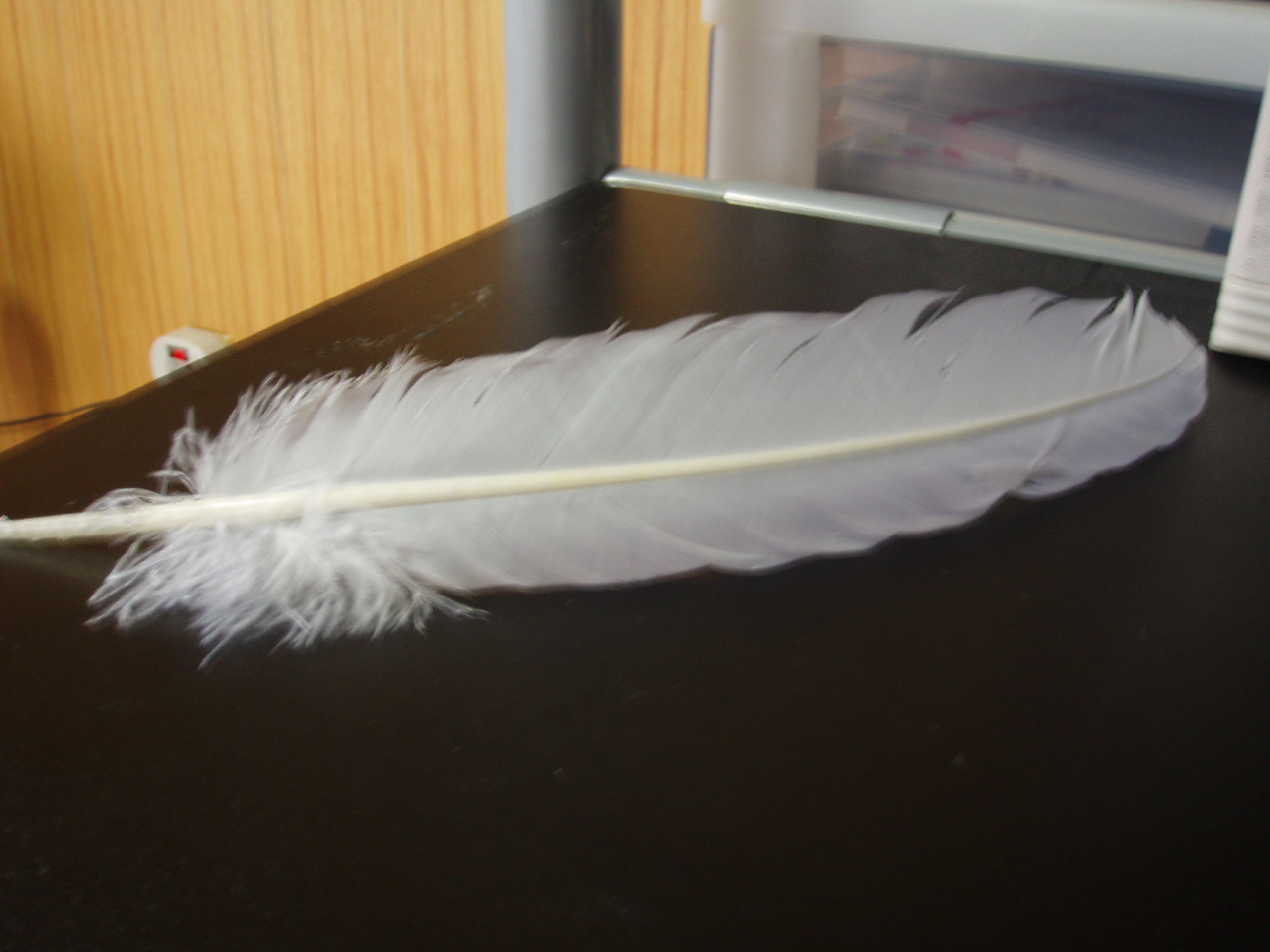 アイテムボックス おてててててのドラえもん日記