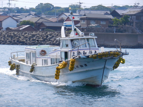 津和崎丸