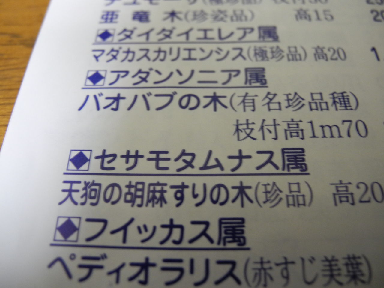 イメージ 1