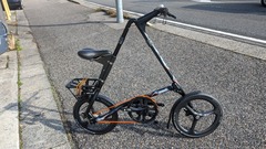 PXL_20240130_015556855