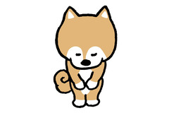 pochi