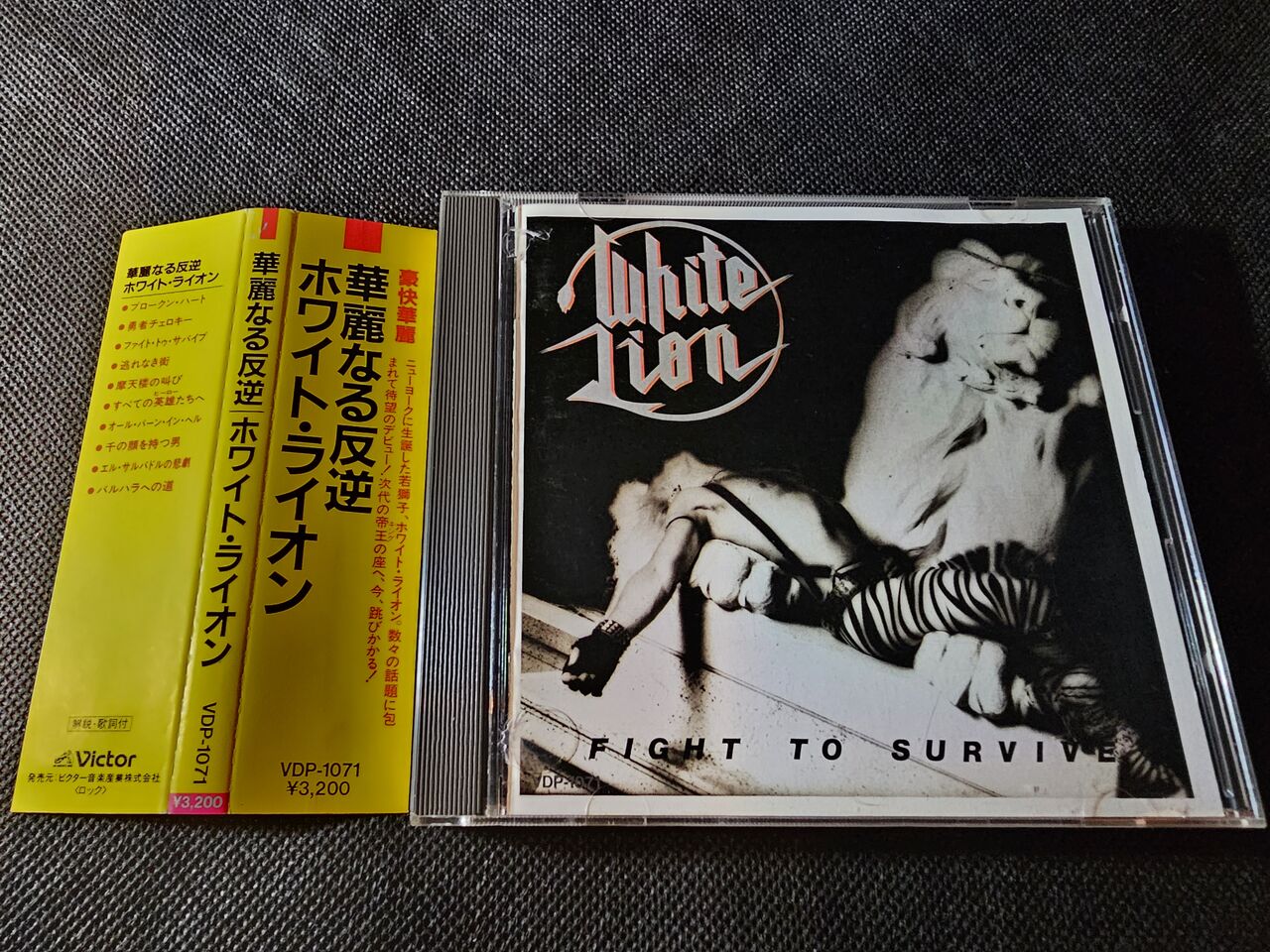 ホワイト・ライオン／華麗なる反逆 （原題：「Fight to Survive