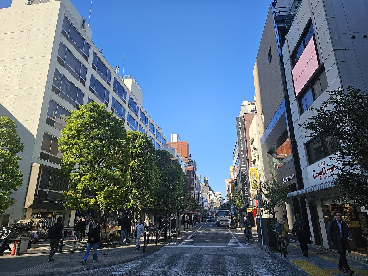 廃盤セール参戦日記 『 国内盤中古CD未開封品セール』2025年11月22日