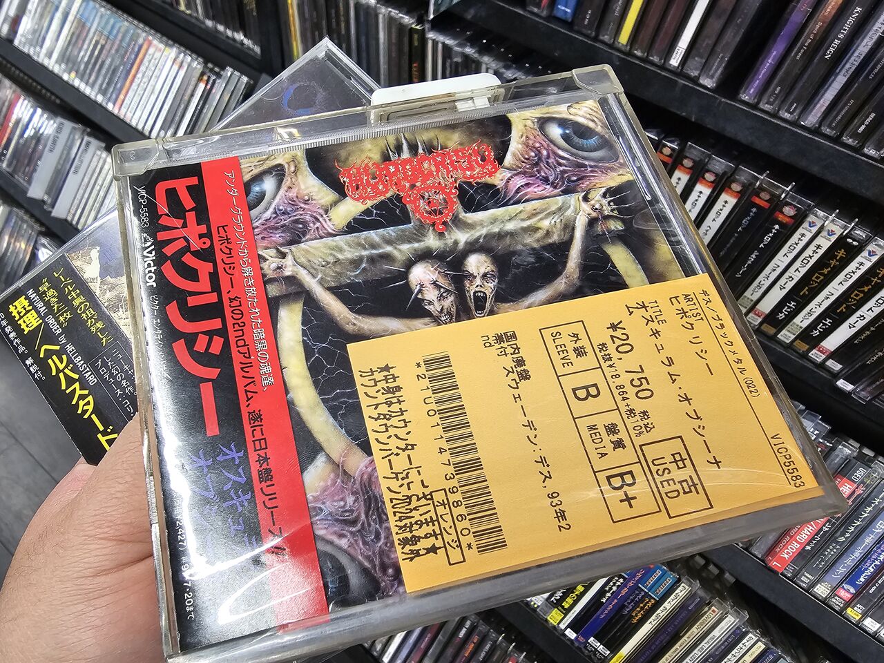 廃盤セール参戦日記 『デス/ブラック/スラッシュ・メタル廃盤