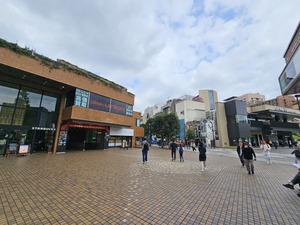 パンクロック ハードロック ヘヴィメタ CDまとめ売り HM HR 洋楽