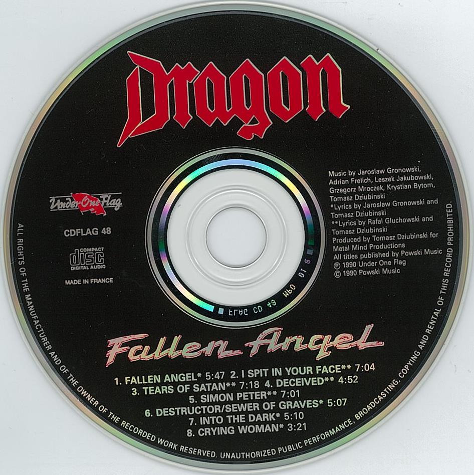 Dragon Fallen Angel ｈｒ ｈｍ 輸入オリジナル盤 廃盤ハンターの猟