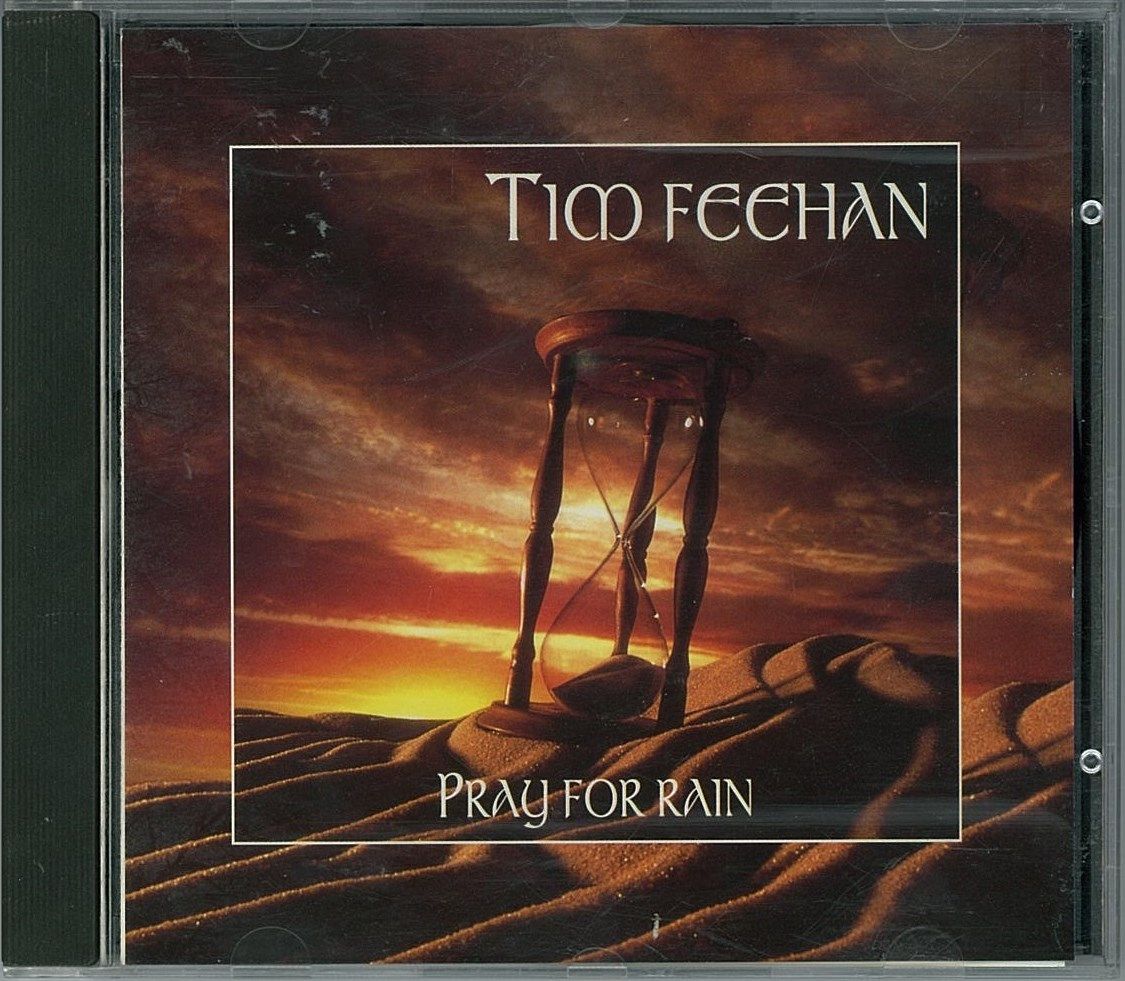 Tim Feehan Pray For Rain ｈｒ ｈｍ 輸入オリジナル盤 廃盤ハンターの猟盤日記