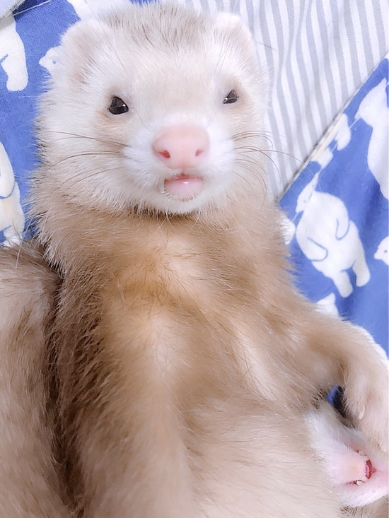 DmzYBvaVsAAnmh4