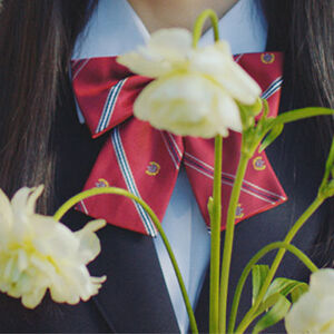 9e3aaddc
